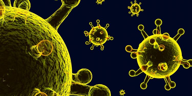 Gripe K: entenda riscos para o Brasil e se vírus pode virar pandemia