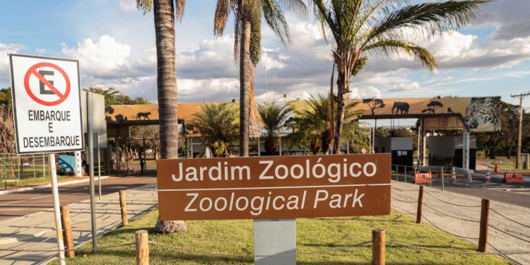Zoológico de Brasília terá entrada gratuita no Natal; veja programação