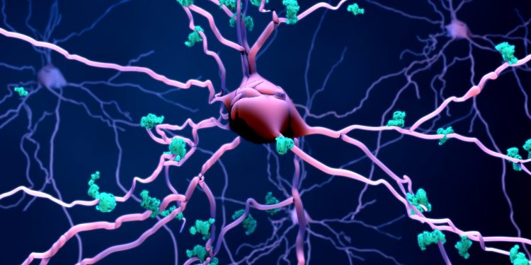 Alzheimer: medicamento pode reduzir morte de neurônios, indica estudo