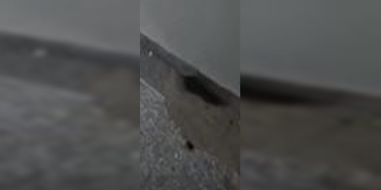 Ratos invadem centro cirúrgico do Hospital Universitário de Brasília