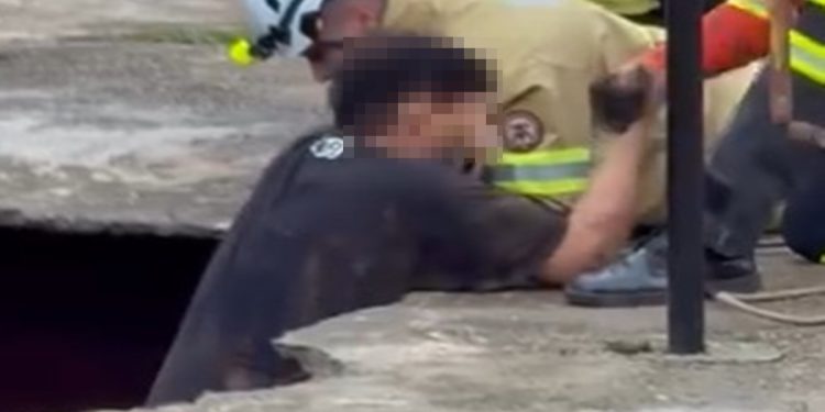 CBMDF usa escada e corda para retirar irmãos e pit-bulls de cratera