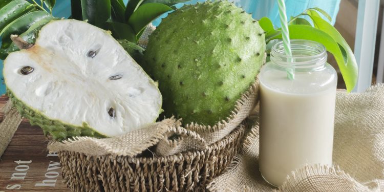 Confira 3 receitas de sucos direto da Amazônia e seus benefícios