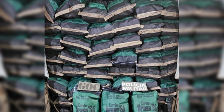 PM apreende meia tonelada de carvão em região do DF. Saiba o motivo