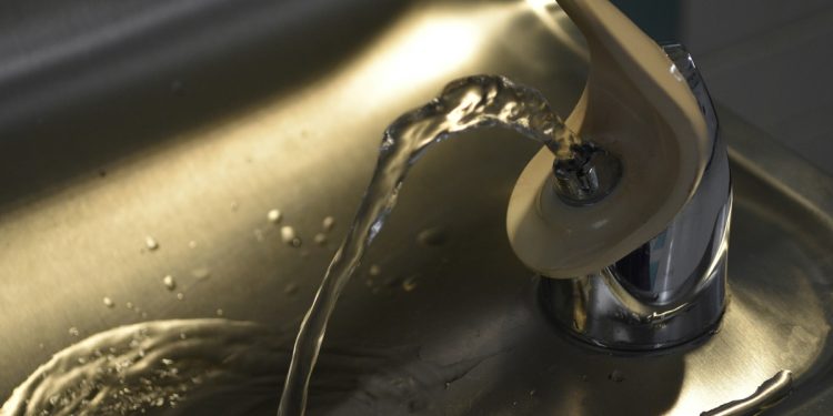 Bebedouros de água podem estar repletos de bactérias, alerta estudo