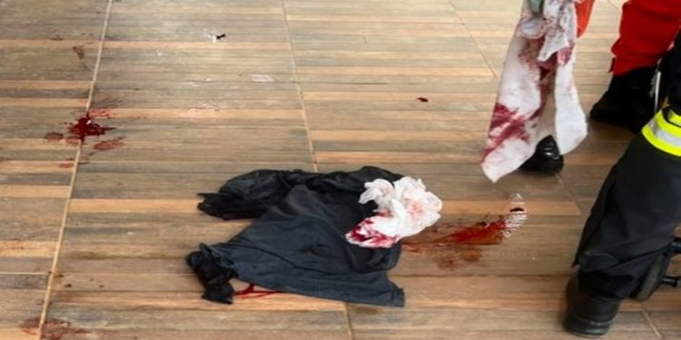 Mulher esfaqueia companheiro no pescoço 3 vezes durante briga no DF. Veja vídeo