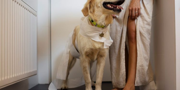 Mulher que jogou cocô de cachorro no rosto de vizinho é condenada