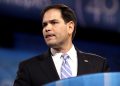 O pequeno Marco Rubio de Trump tem um grande plano: entregar Cuba para Miami