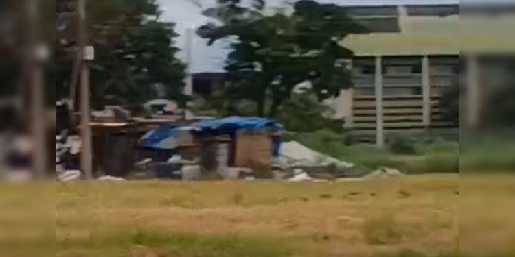 Corpo é localizado em barraco no DF; testemunhas ouviram uma discussão. Veja vídeo