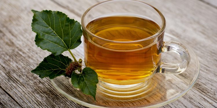 Nutricionista revela os melhores chás para combater dor de estômago