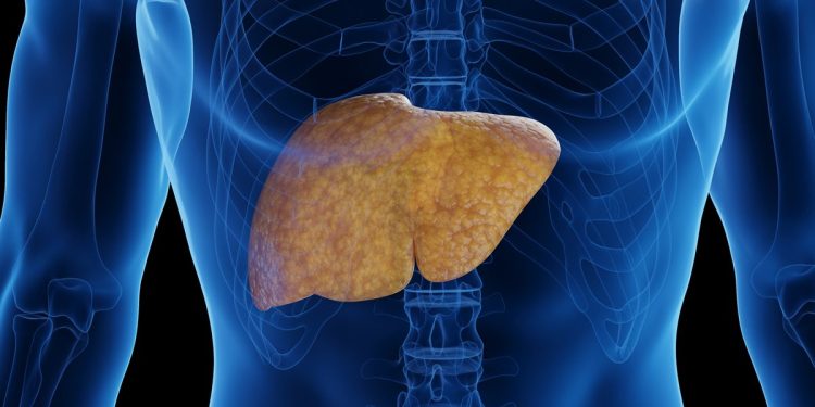 Nutricionista diz quais alimentos ajudam a reduzir a gordura no fígado