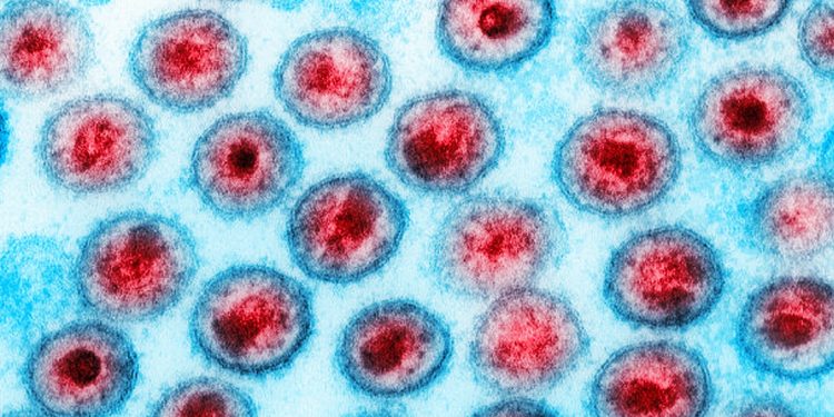 Injeção semestral contra HIV será testada pela Fiocruz em sete cidades