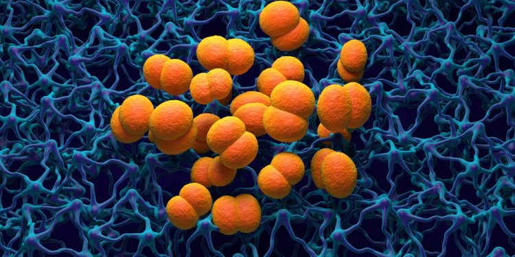 Meningite: médicos alertam para os principais sintomas da doença