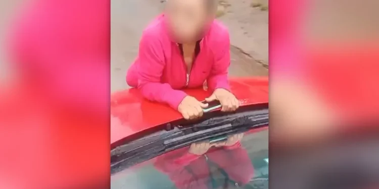 Cadela morre em clínica e tutoras se penduram em carro de veterinária, que dirige com idosa no capô. Veja vídeo
