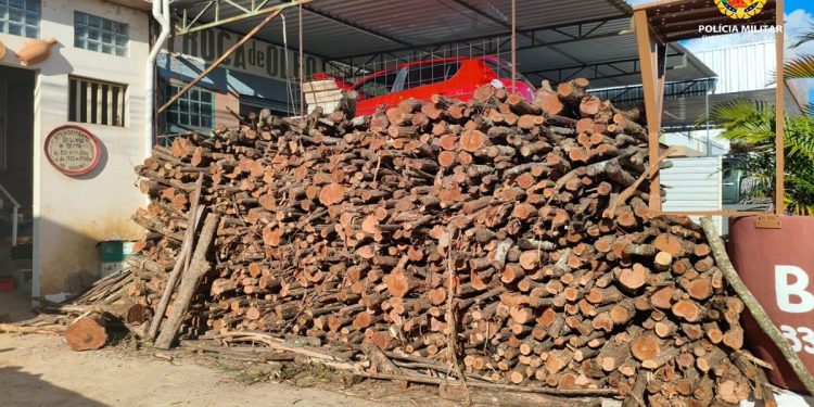 PM flagra descarregamento ilegal de madeira nativa em região do DF