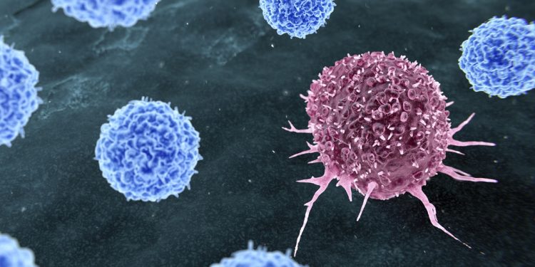 Combinação de remédios elimina câncer de pâncreas em testes com ratos