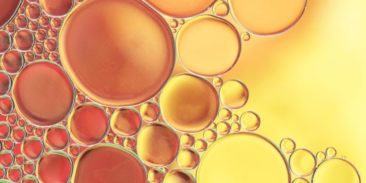 Estudo sugere mecanismo que pode frear formação de células de gordura