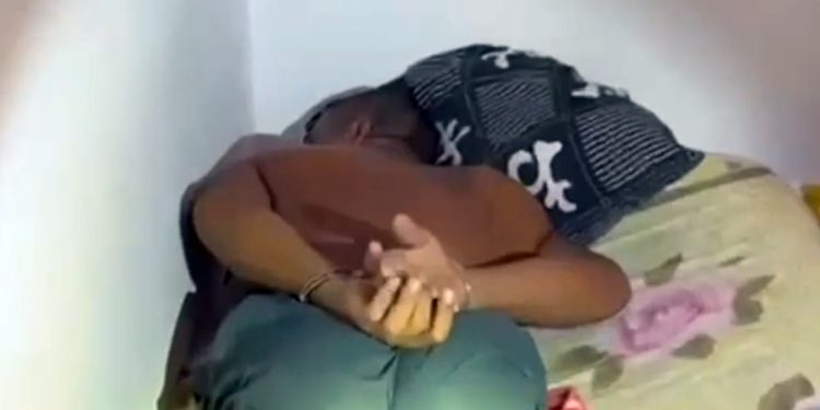 Faccionado do CV flagrado furtando 29 vacas no DF foi preso em casa. Veja vídeo