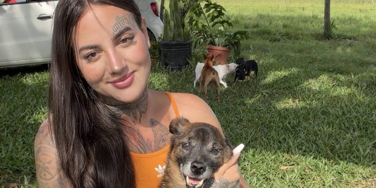 Tutora que quase matou cão é absolvida, mas impedida de tê-lo de volta