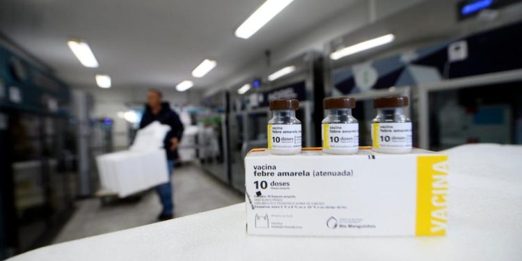 Vacinação: DF recebe 50 mil doses de vacina contra febre amarela