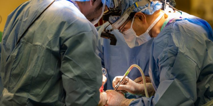 Técnica inédita faz homem sobreviver dois dias sem os pulmões. Entenda