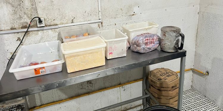 Pizzaria interditada por usar comida podre vendia 250 unidades por dia. Veja vídeo