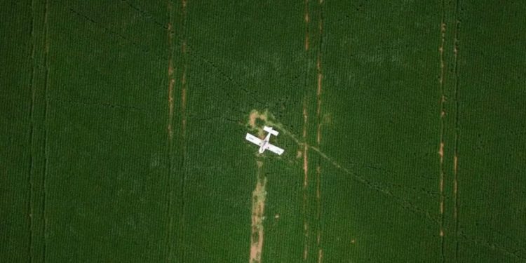 Saiba modelo do avião que fez pouso forçado em fazenda no DF. Vídeo