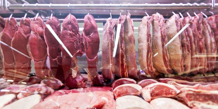 Selva? Entenda o que a ciência diz sobre a dieta carnívora