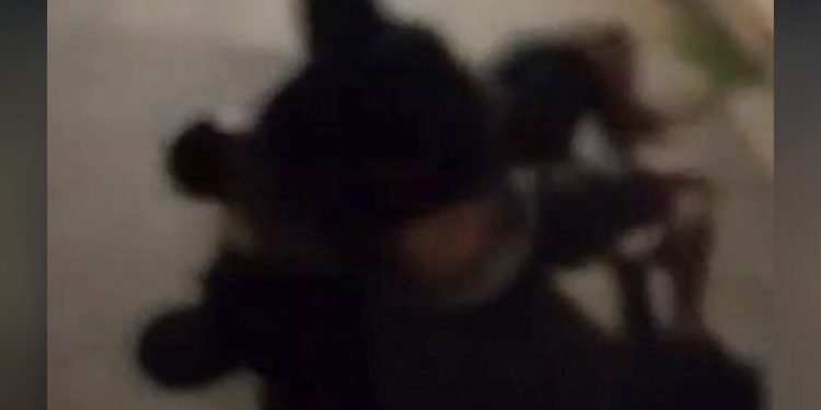 “Mãe, vou morrer” disse jovem de 19 anos após mata-leão em briga no DF