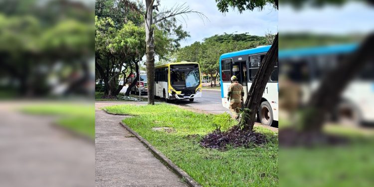 Colisão entre dois ônibus deixa cinco feridos na W3 Norte