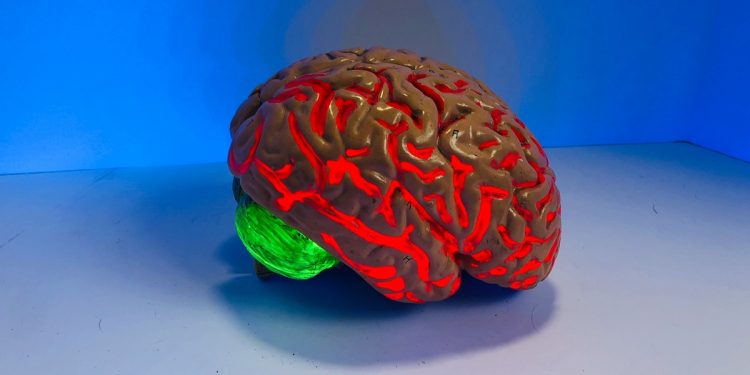 Estudo encontra mecanismo que ajuda a frear o Alzheimer