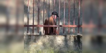 Homem ameaça “dar tiro” em vizinho dentro de condomínio: “É guerra”. Veja vídeo