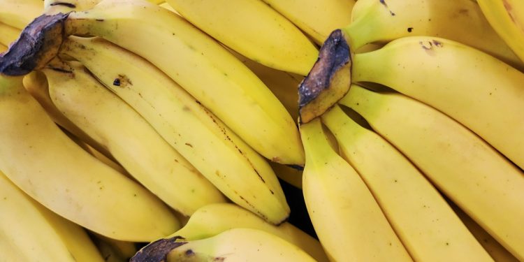 Nutricionistas explicam se é verdade que a banana prende o intestino