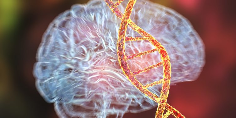 Estudo descobre base genética comum entre 14 transtornos mentais
