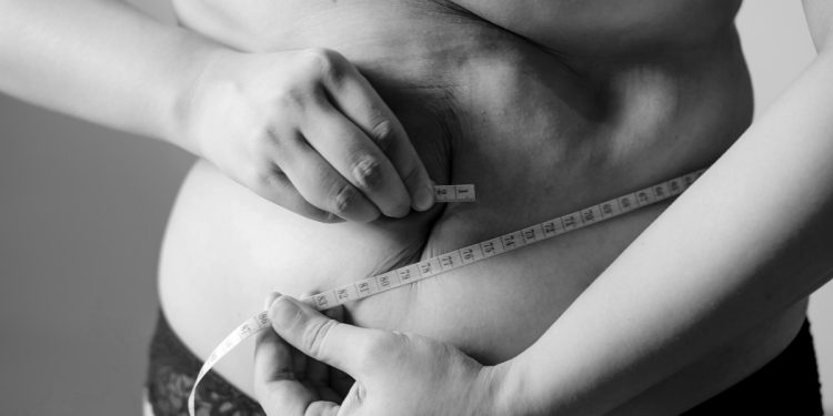 Efeito sanfona afeta gordura marrom e dificulta controle do peso