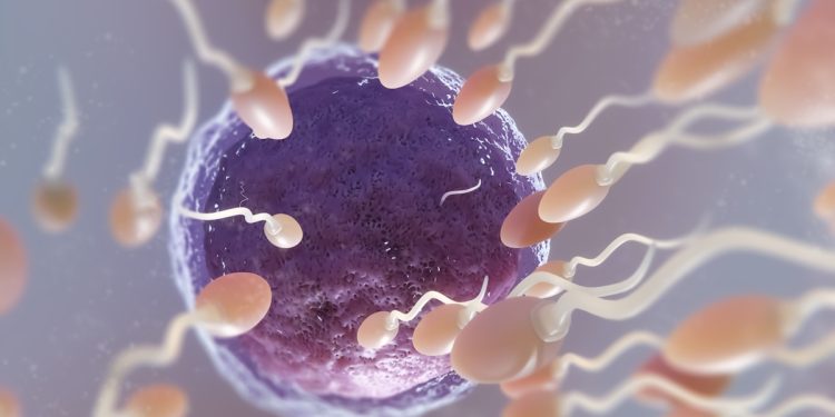 Urologista aponta quais hábitos prejudicam a qualidade dos espermas