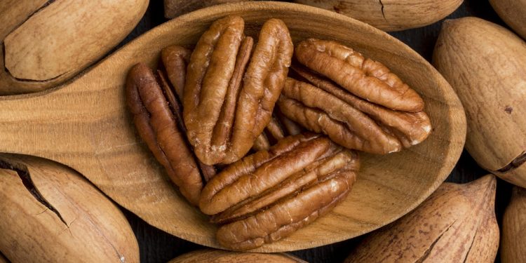 Nozes-pecã podem ajudar a reduzir o colesterol, sugere estudo