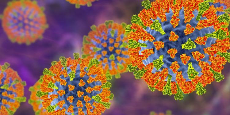 Nipah, gripe K, aviária: as doenças no radar dos infectologistas