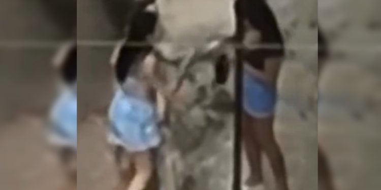 Mulher que traficava drogas em casa é presa com 1 kg de cocaína no DF. Veja vídeo