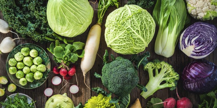 Ser vegetariano diminui o risco de cinco tipos de câncer, diz estudo