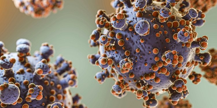 Vírus do resfriado se esconde e se replica mesmo sem causar sintomas