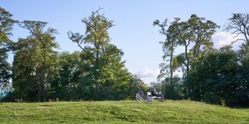 Spike, o cacto: o primeiro de seu nome