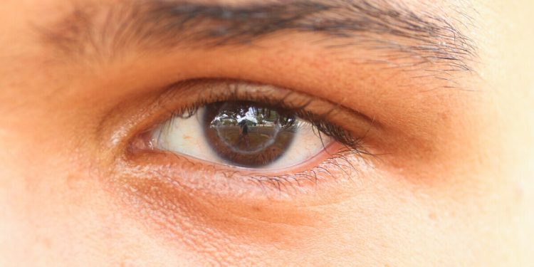 Recusa familiar na hora da doação de órgãos varia em função do governo?