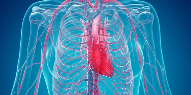 Câncer no coração: cardiologista alerta para falta de ar