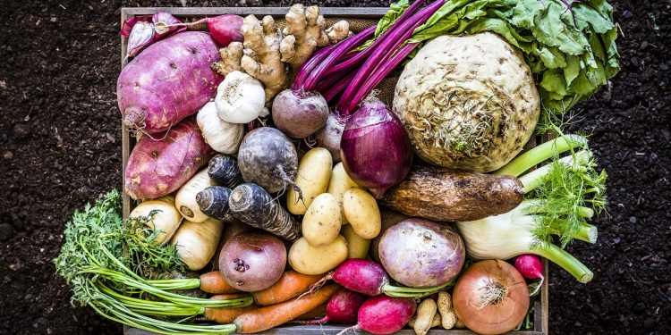 Emagrecimento saudável: os melhores alimentos para incluir na dieta