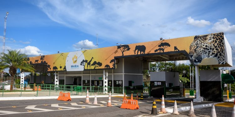 Mulheres terão entrada gratuita no Zoológico de Brasília no sábado (7)