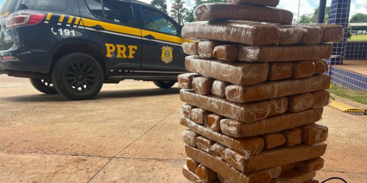 Preso diz que teria desconto em carro novo se transportasse 40 kg de maconha