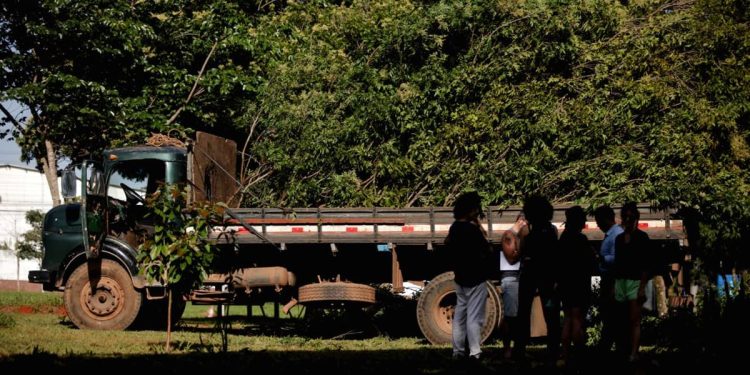 Moradores protestam contra derrubada de árvores em bosque na Asa Norte
