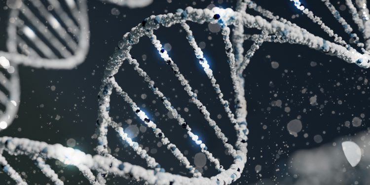 Gene egoísta pode ter feito família dos EUA ter o dobro de homens