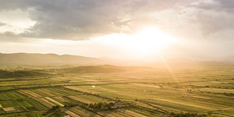 Fazenda Sálvia vira área de interesse público para reforma agrária