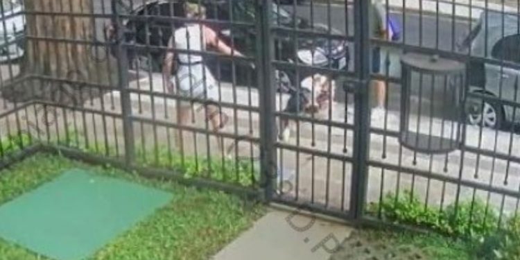 Homem que agrediu irmã de Zanin é condenado a serviços comunitários